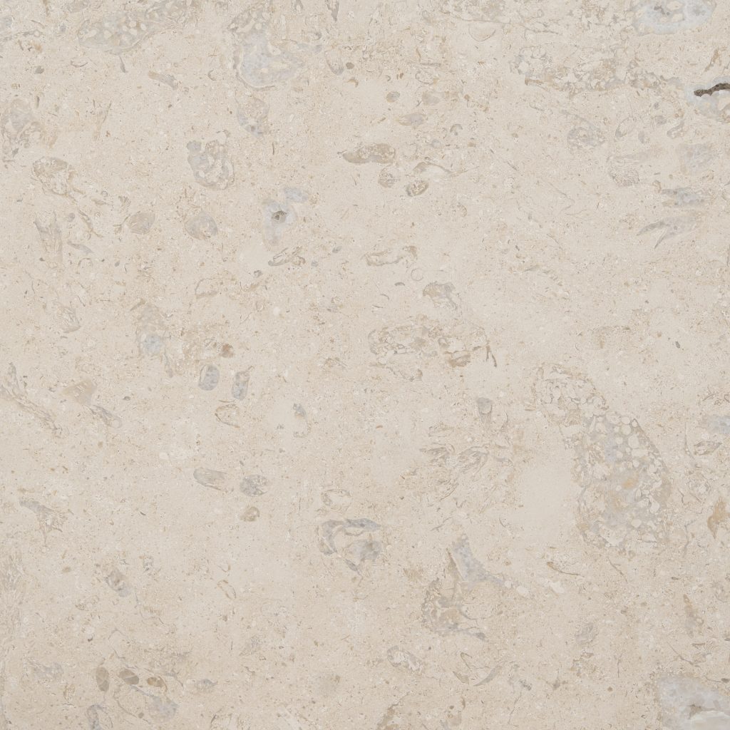 filstone beije fossil light