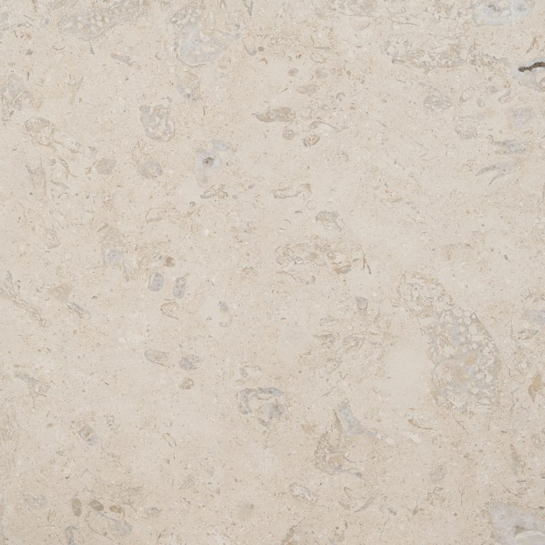 filstone beije fossil light