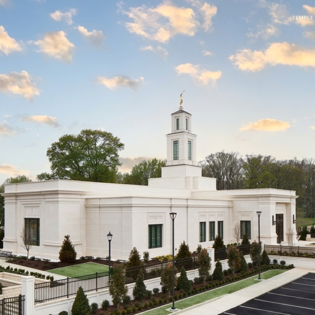 filstone beije mf and mff tennessee stone panel