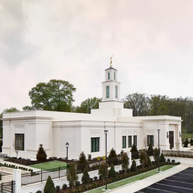 filstone beije mf and mff tennessee stone panel