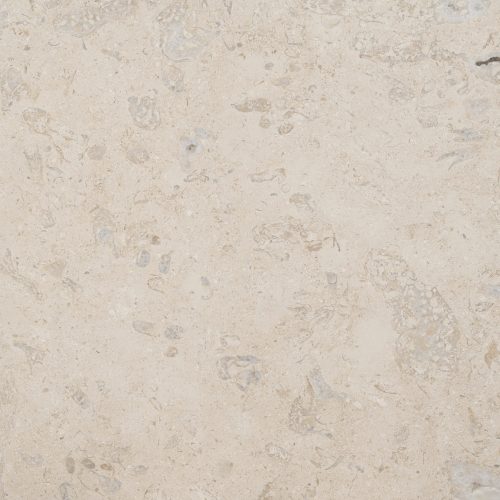 filstone beije fossil light